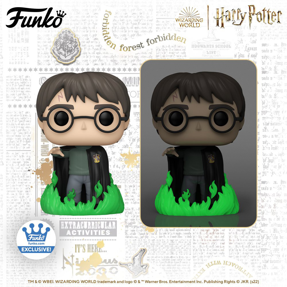 Funko Pop Harry Potter - Harry Potter and the Chamber of Secrets (20th Anniversary) - 02 - New Funko Pop Vinyl Figures - Pop Shop Guide