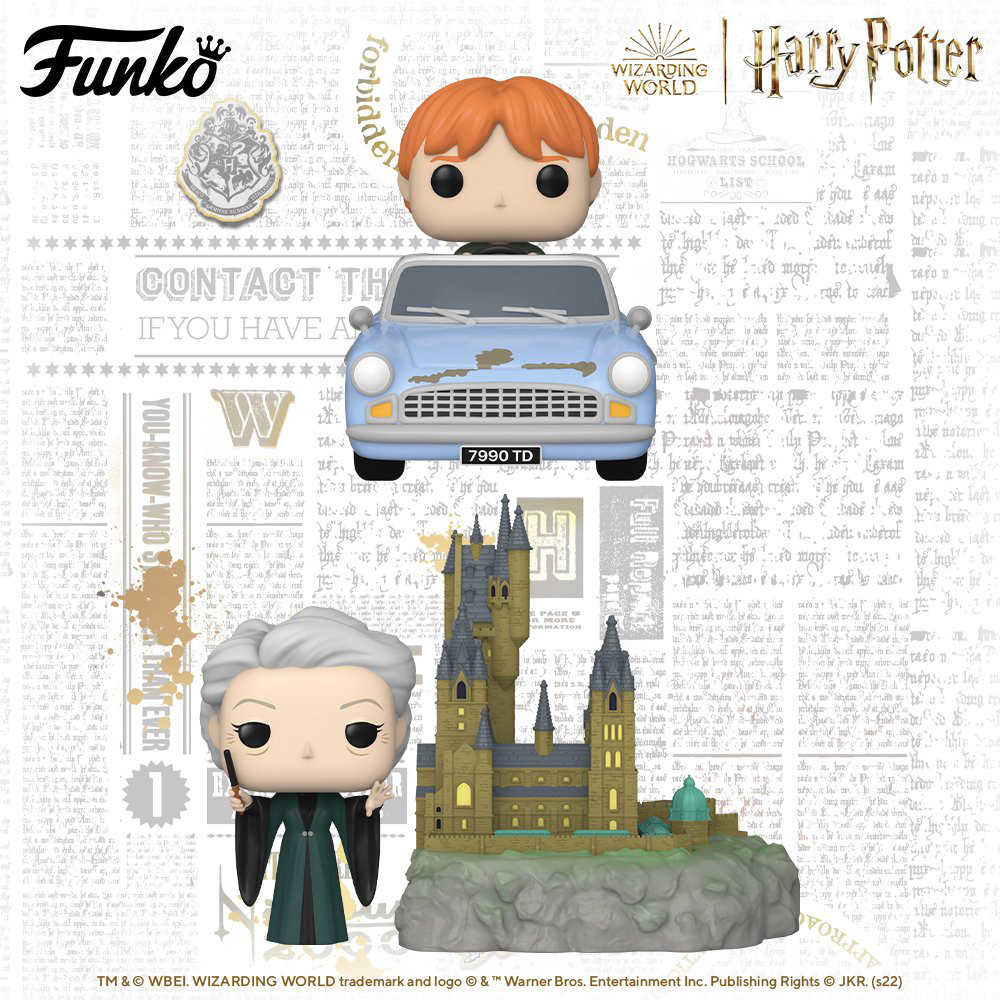Funko Pop Harry Potter - Harry Potter and the Chamber of Secrets (20th Anniversary) - 04 - New Funko Pop Vinyl Figures - Pop Shop Guide
