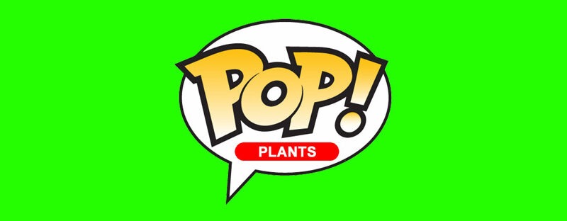 Funko Launches New Funko Pop! Plants Series Featuring Adorable Kawaii-Inspired Figures